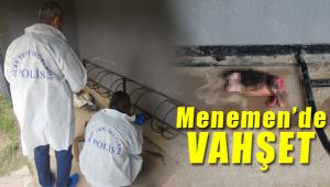 İzmir'de insanlık dışı vahşet Yavru kedilerin başlarını ve patilerini kestiler