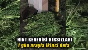 Menemen'de Hint Keneviri Hırsızları 1 Gün Arayla 2. kez yakayı ele verdi