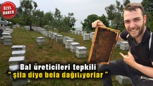İzmirli Arıcılardan Tepki;