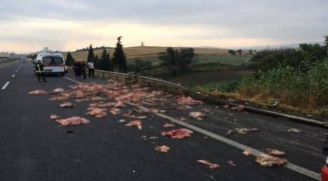 Kamyonet devrildi sakatatlar yola savruldu