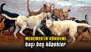 Menemen'in Gündemi Köpekler