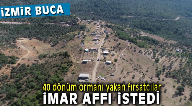 Buca'da Fırsatçılar Yanan Orman Alanlarına İmar Affı İstiyor