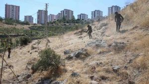 Karşıyaka Belediyesi Yangına Karşı Önlem Alıyor