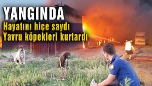 Menemen 'de çıkan yangında genç polis son anda 2 yavru köpeğin hayatını kurtardı