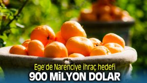 Ege'de Narenciye Hedefi 900 Milyon Dolar