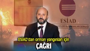ESİAD’dan çağrı; orman yangınları yaralarını birlikte saralım
