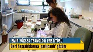 İzmir Yüksek Teknoloji Enstitüsü Deri Hastalıklarına Patlıcandan Çözüm Üretti