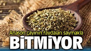 Anason Çayının Faydaları Saymakla Bitmiyor
