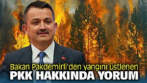 Bakan Pakdemirli'den yangını üstlenen PKK yorumu: