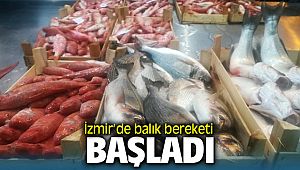 İzmir'de balık bereketi Başladı