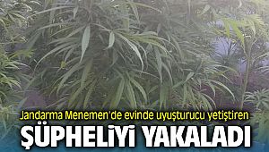 Menemen'de Jandarma Evinde Uyuşturucu Yetiştiren Şüpheliyi Yakaladı