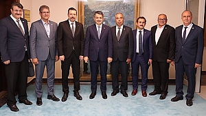 İncirde devlet de devrede! TMO alım yapacak