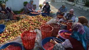 Sanayi kenti Aliağa'da nar ekşisi zamanı