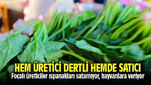 Foça'da Ispanağın Hem üretici dertli hem de satıcısı