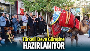 Türkelli Deve Güreşine Hazırlanıyor