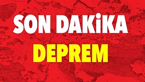 Balıkesir'de Son dakika Arka Arkaya Deprem İzmir'de hissedildi