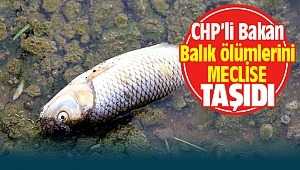 CHP İzmir Milletvekili Murat Bakan Balık Ölümlerini Meclise Taşıdı