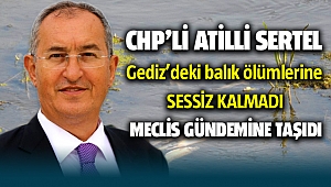 CHP'li Atilla Sertel Balık Ölümlerine Sessiz Kalmadı