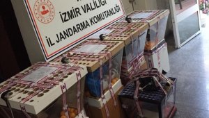 İzmir'de çay ocaklarına kumar baskını
