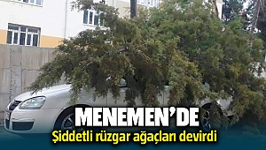 Menemen'de rüzgarın etkisiyle ağaç arabanın üzerine devrildi