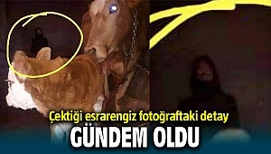 Tesadüfen çekilen esrarengiz fotoğraf gündem oldu