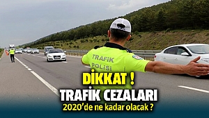 Trafik cezaları 2020 fiyatları