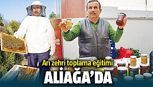 Aliağa'da Arı zehri toplama eğitimi verilecek