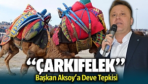 Başkan Aksoy'a deve tepkisi! ÇARKIFELEK..