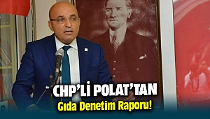 CHP'li Polat'tan gıda denetim raporu