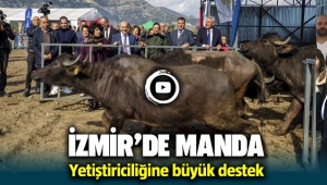 İzmir'de manda yetiştiriciliğine destek