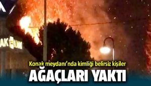 İzmir Konak'ta ağaçları yaktılar! Abdül Batur'dan tepki
