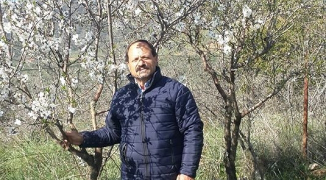 İzmir'de badem ağacı çiçek açtı