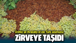 Üretici ve ihracatçı el ele Türk üzümünü zirveye taşıdı
