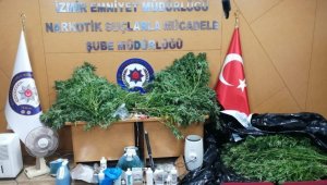 İzmir'de drone destekli zehir operasyonu