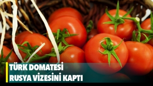 Türk domatesi Rusya vizesini kaptı