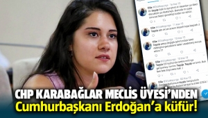 CHP Meclis Üyesi Dila Koyurga'dan Cumhurbaşkanına küfür!