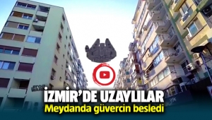 İzmir'de uzaylılar, Saat Kulesi'ndeki güvercinleri besledi