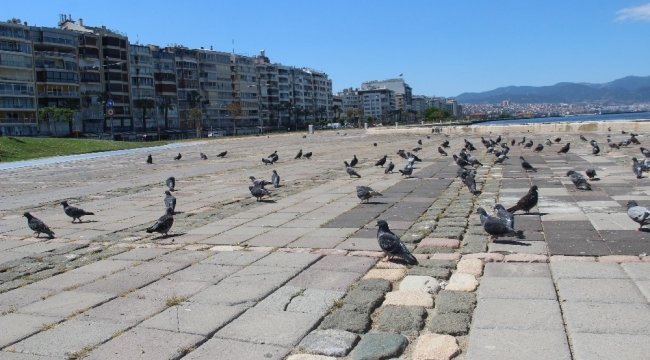 İzmir, kısıtlamanın ilk gününde boş kaldı