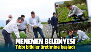 Menemen Belediyesi tıbbı bitkiler üretimine başladı