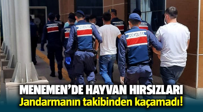 Menemen'de hayvan hırsızları Jandarmanın takibinden kaçamadı