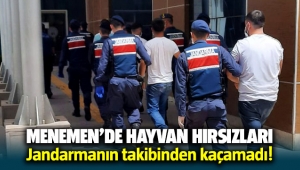 Menemen'de hayvan hırsızları Jandarmanın takibinden kaçamadı
