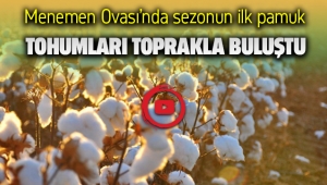 Menemen Ovasında pamuk tohumları toprakla buluştu