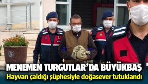 Menemen Turgutlar'da köylünün hayvanlarını çaldığı şüphesiyle doğasever tutuklandı