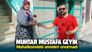 Muhtar Mustafa Geyik mahallesindeki anneleri unutmadı