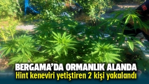 Bergama'da Ormanlık alanda Hint keneviri yetiştiren 2 kişi yakalandı