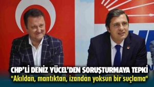 CHP'li Deniz Yücel'den soruşturma tepkisi: