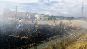 Foça'da kaynaktan sıçrayan kıvılcım, 5 dönüm tarlayı yaktı