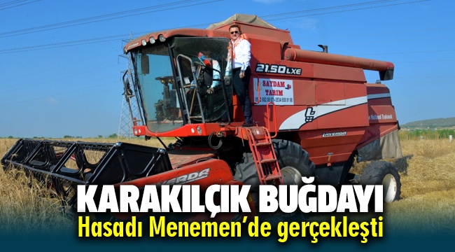 Karakılçık buğdayı hasadı Menemen'de gerçekleşti