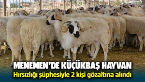 Menemen'de küçükbaş hayvan hırsızlığı yaptığı iddiasıyla 2 kişi gözaltına alındı