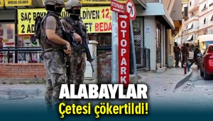 Alabaylar Çetesi çökertildi, Uyuşturucuyu Avrupa'dan getirmişler!